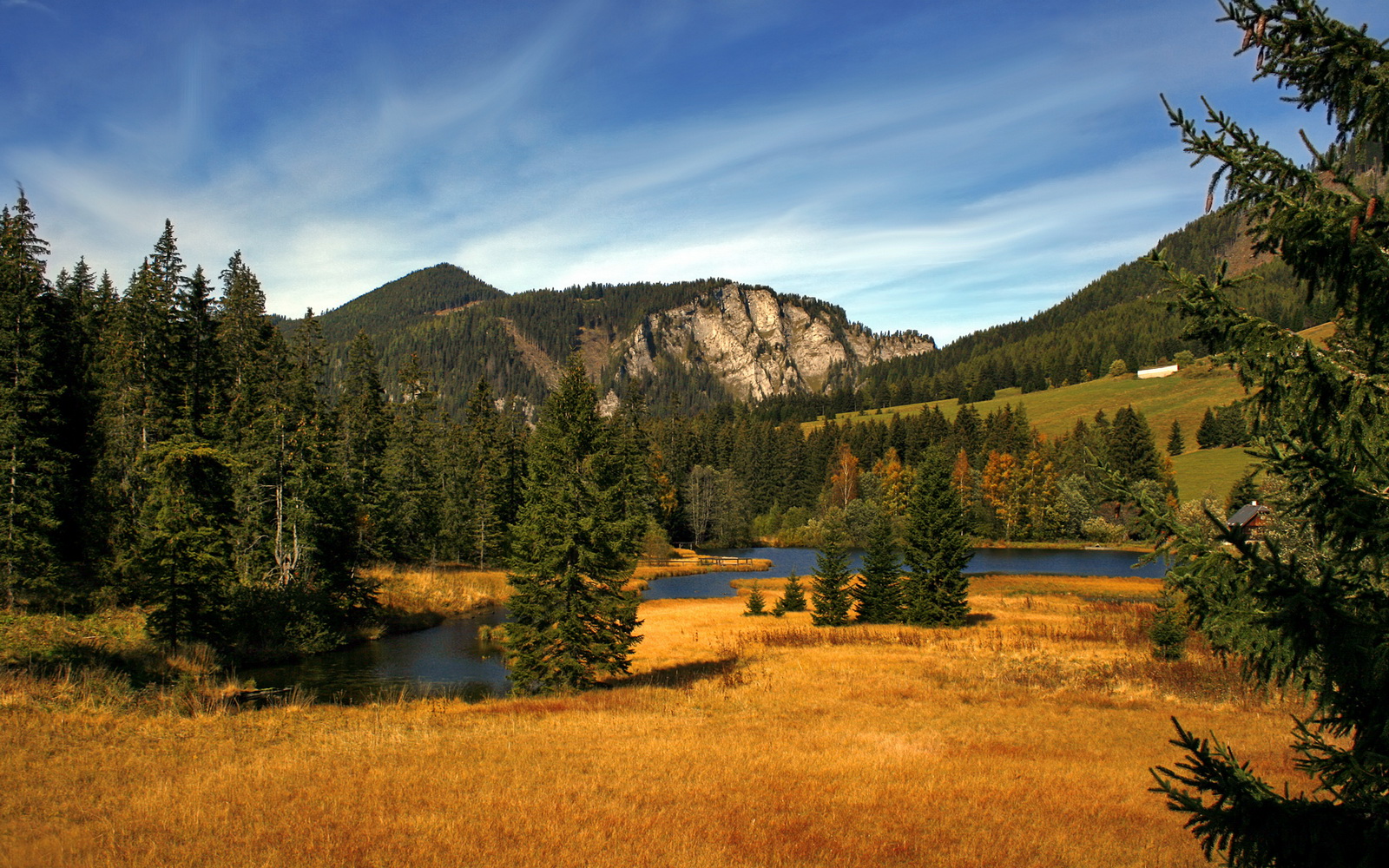 外援占用战术核心是否挤压本土成长空间,外援管理