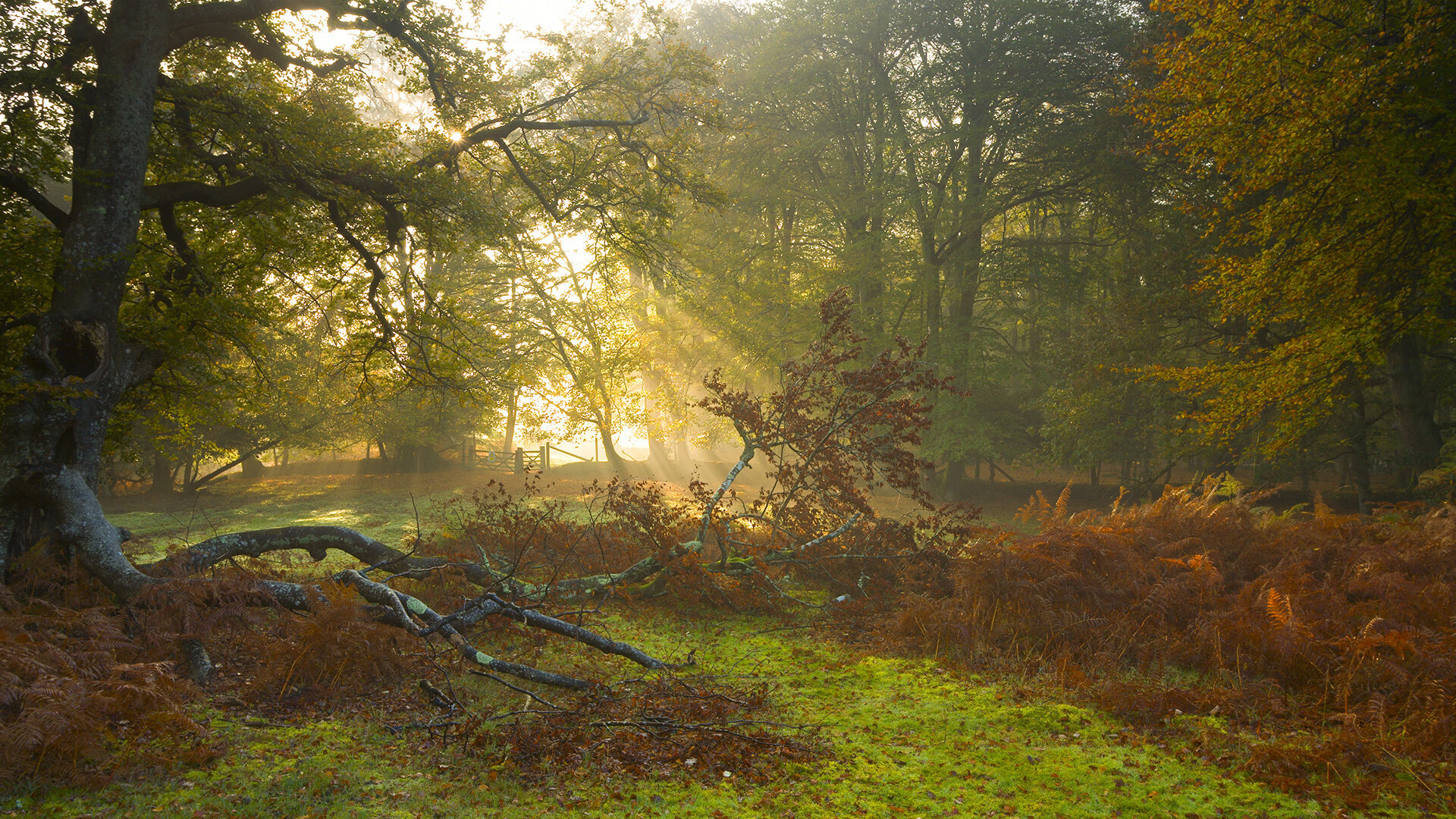 多家俱乐部考察新人才,引援工作加速进行中,俱乐部招募信息