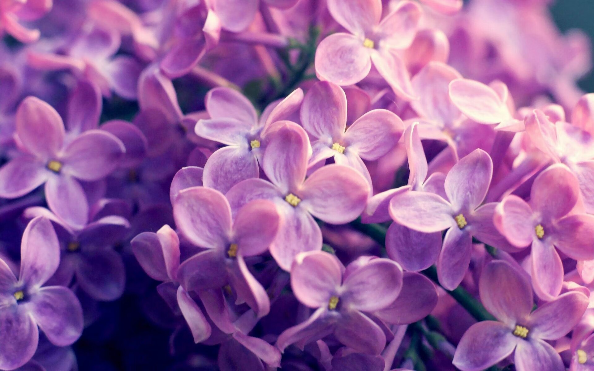 法国主帅德尼尔索尼宣布挂靴退役,德尔弗尼索