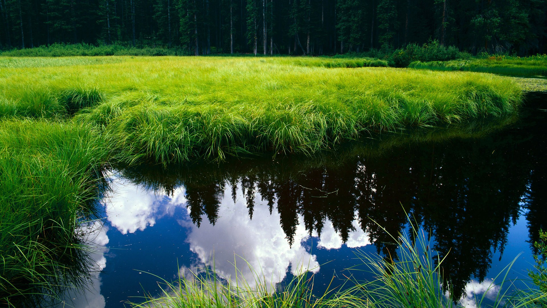 开云投注-法甲球队通过大数据优化边路突破战术，法甲联赛盘路点评