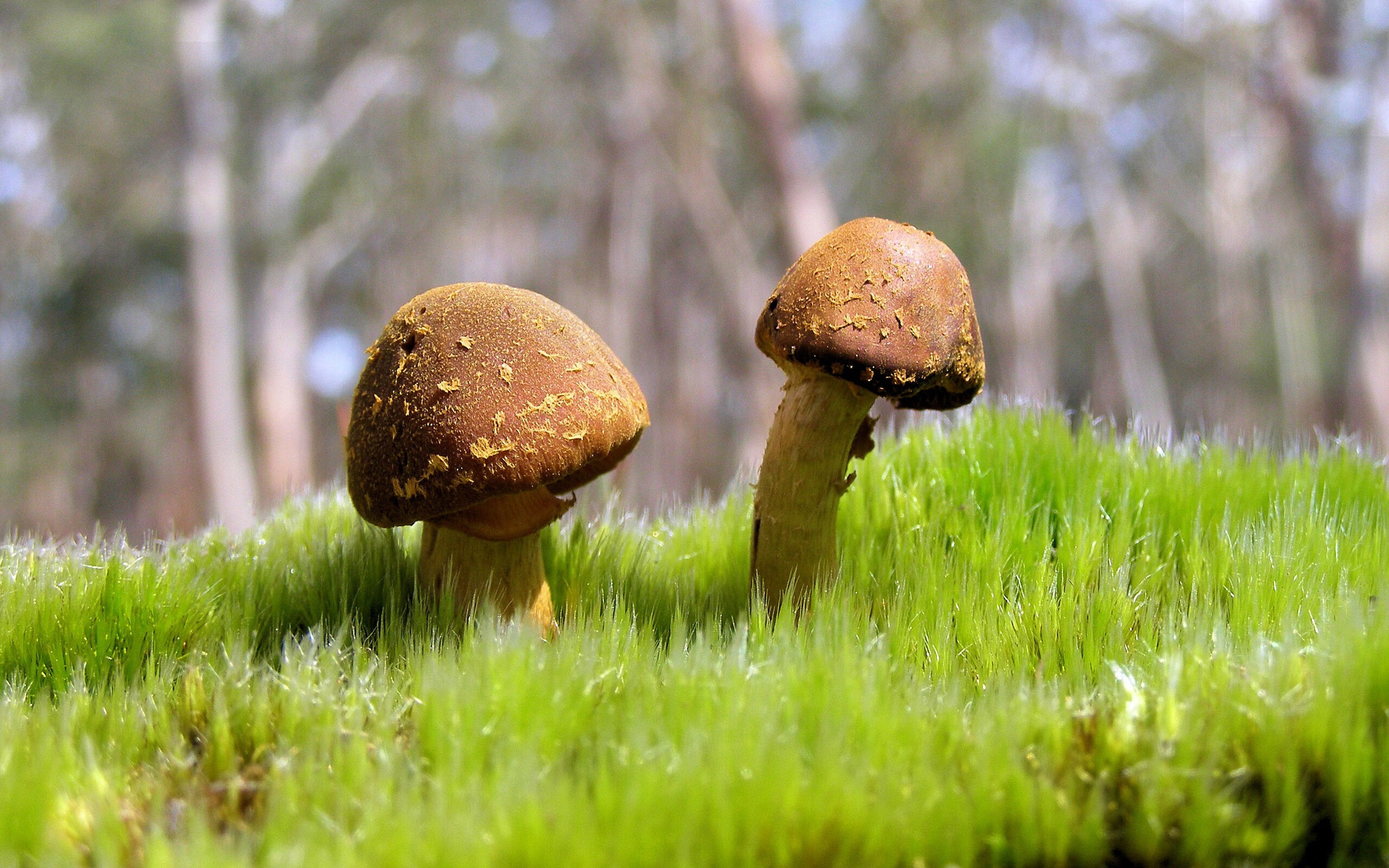 体育新闻中心发布场馆无障碍设施整改进度,无障碍设施改造工作总结