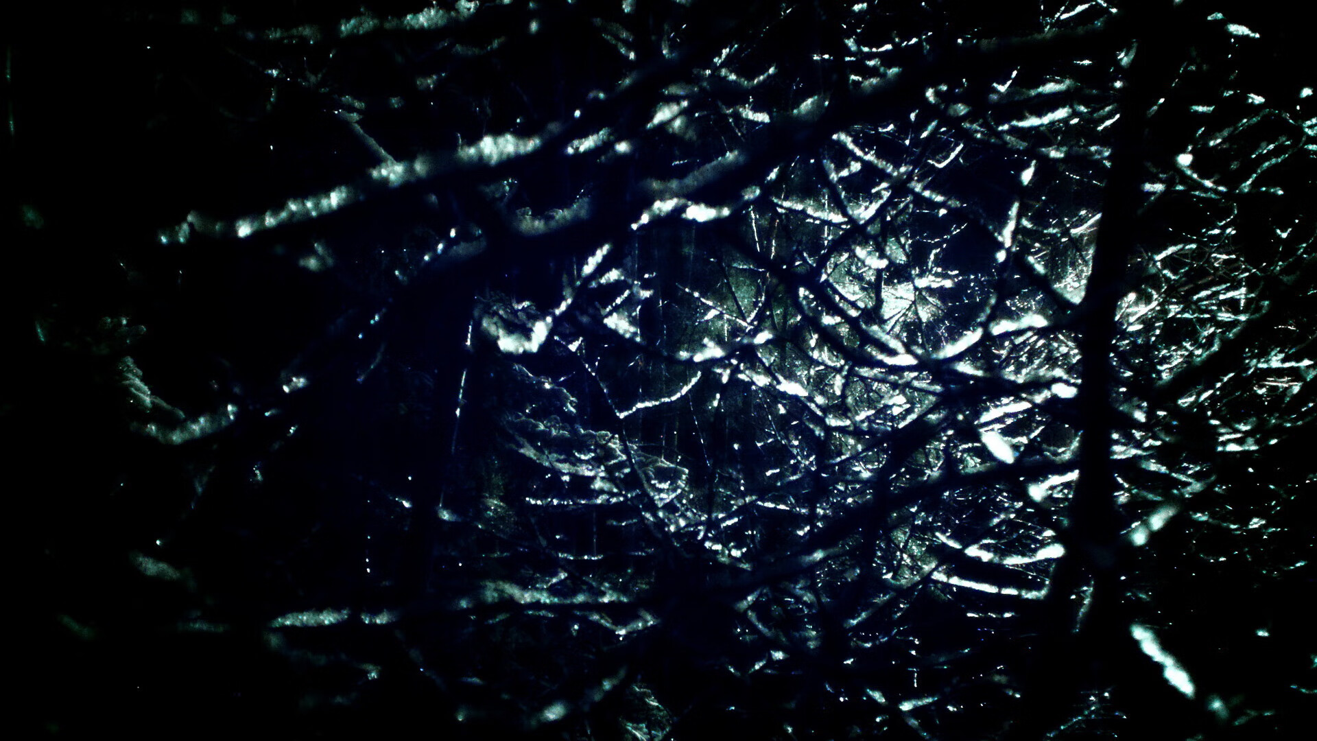 南非青训体系为未来橄榄球顶级球员的培养打下坚实基础,南非橄榄球种族歧视现象