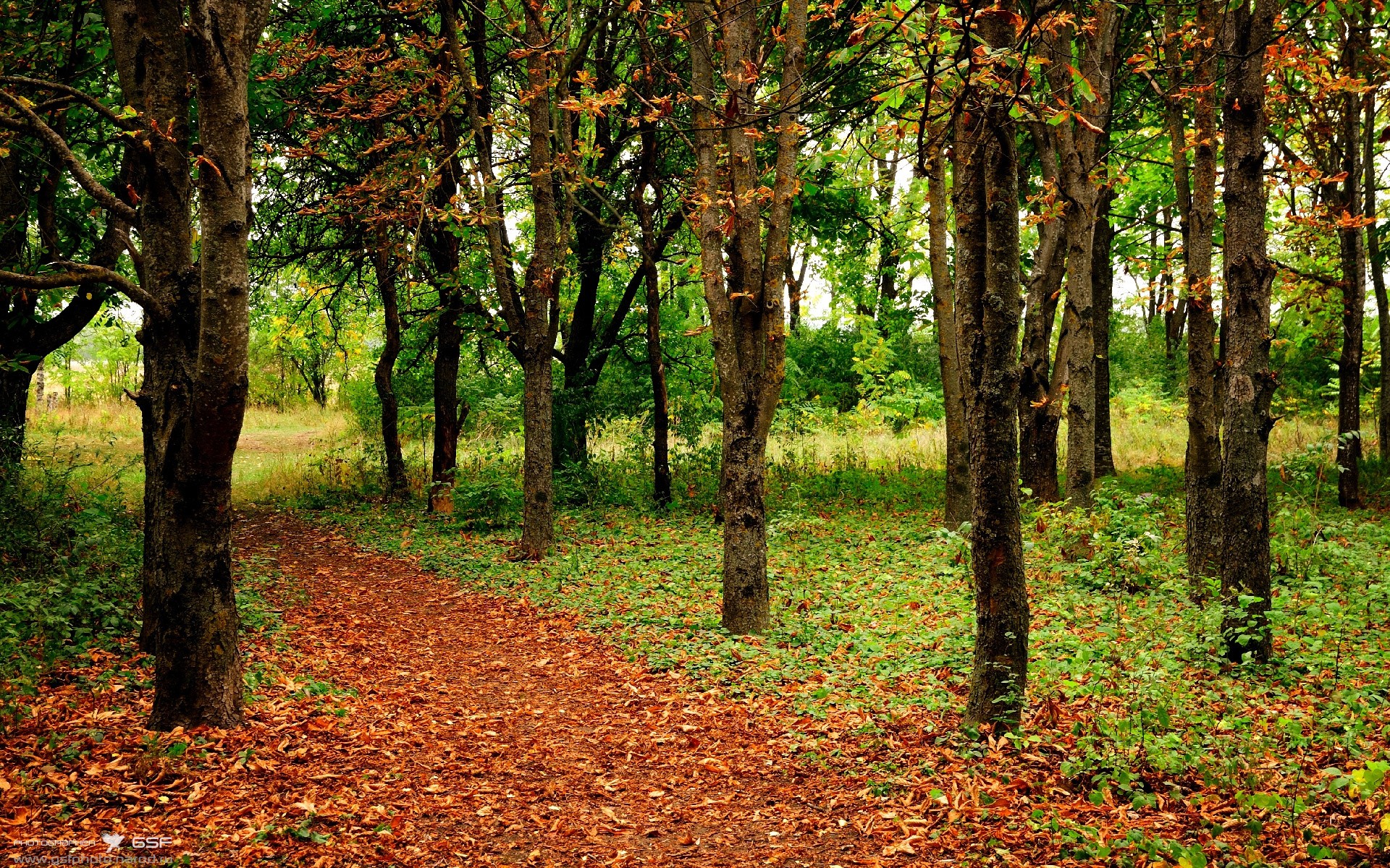 凯蒂·莱德基决赛节奏掌控精准,凯蒂·莱德基赛程