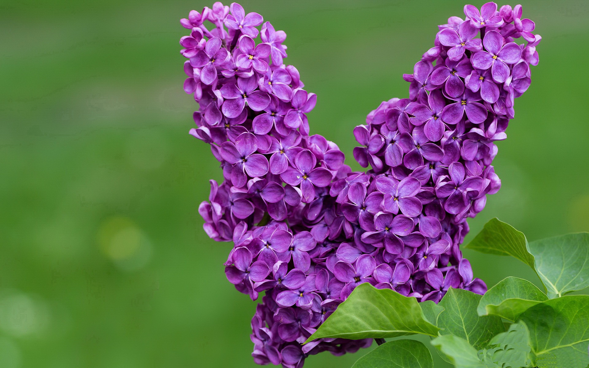 开云官方-老将状态回暖成为球队稳定军心的重要砝码，老将nba